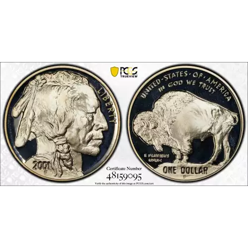 Modern Commemoratives --- American Buffalo Commemorative 2001-Silver- 1 Dollar