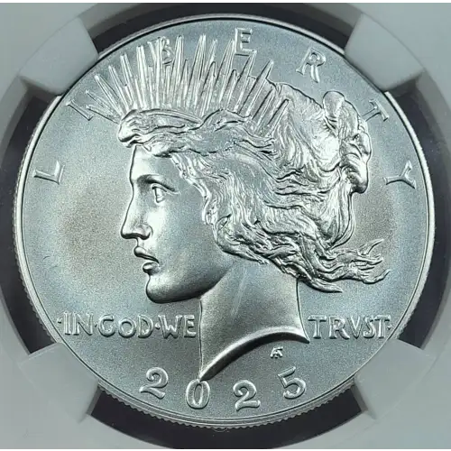 Modern Commemoratives --- Peace Dollar 100th -Silver- 1 Dollar (2)