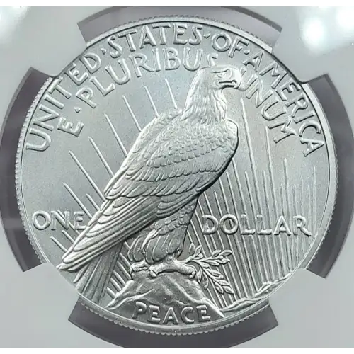 Modern Commemoratives --- Peace Dollar 100th -Silver- 1 Dollar (4)