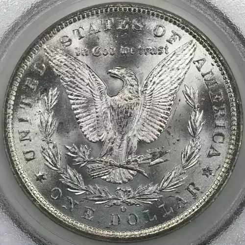 Morgan Silver Dollar (4)