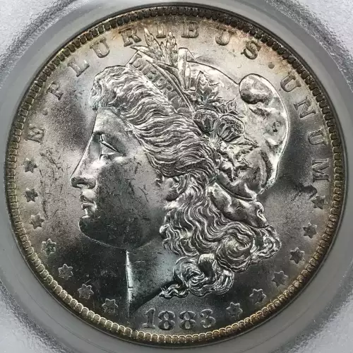 Morgan Silver Dollar