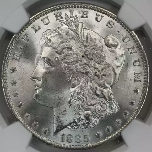 Morgan Silver Dollar