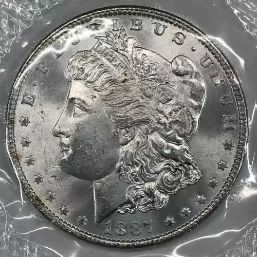 Morgan Silver Dollar (2)