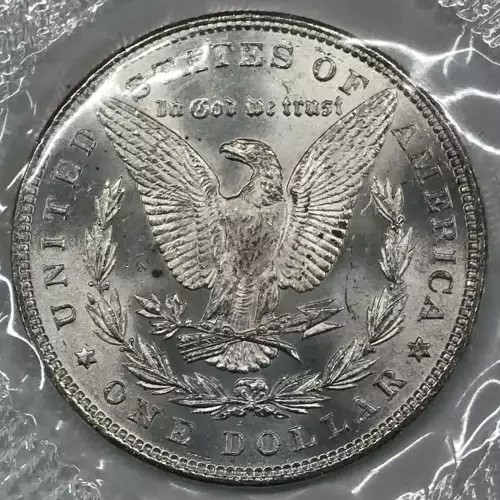 Morgan Silver Dollar (4)