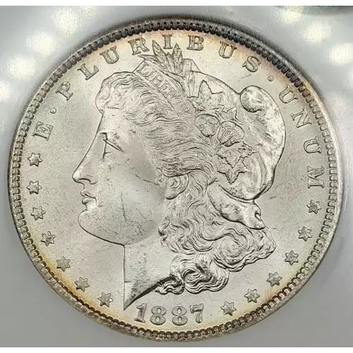 Morgan Silver Dollar (2)