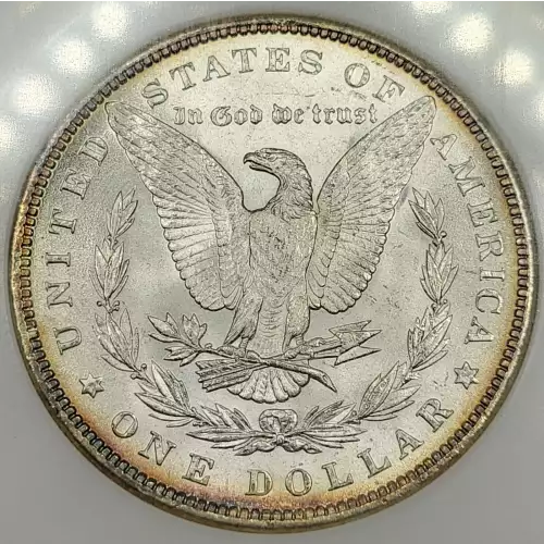 Morgan Silver Dollar (4)