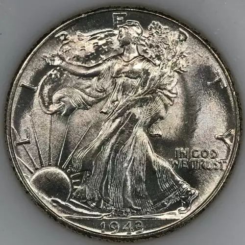 Morgan Silver Dollar (2)