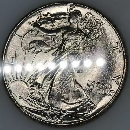 Morgan Silver Dollar (4)