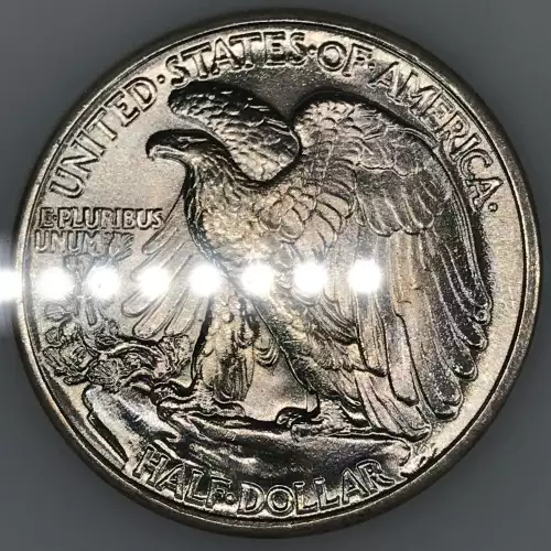 Morgan Silver Dollar (5)