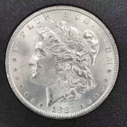 Morgan Silver Dollar (2)