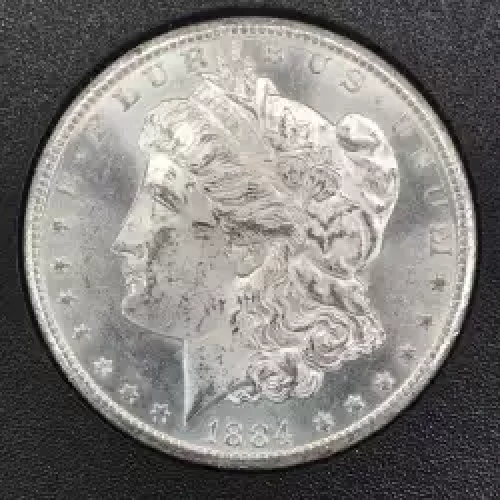 Morgan Silver Dollar (5)