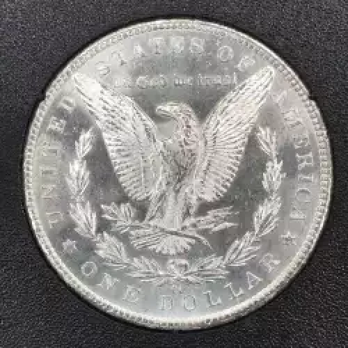 Morgan Silver Dollar (2)