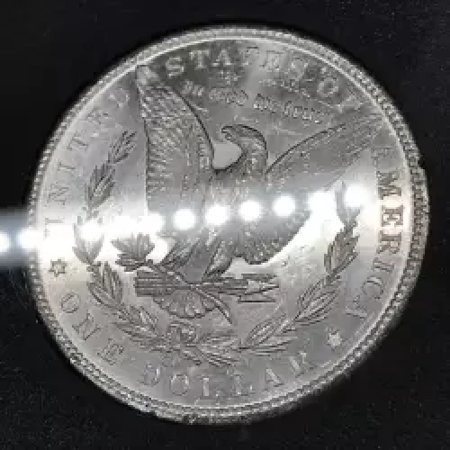 Morgan Silver Dollar