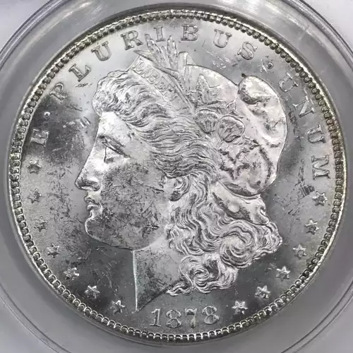 Morgan Silver Dollar (5)