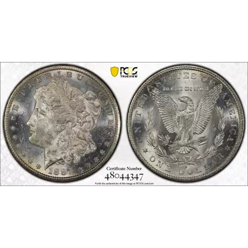 Morgan Silver Dollar