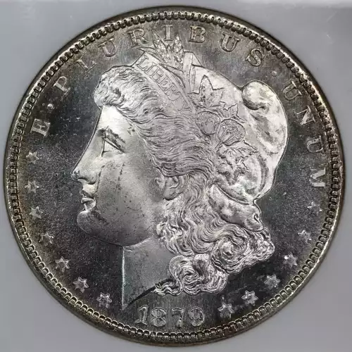 Morgan Silver Dollar (2)