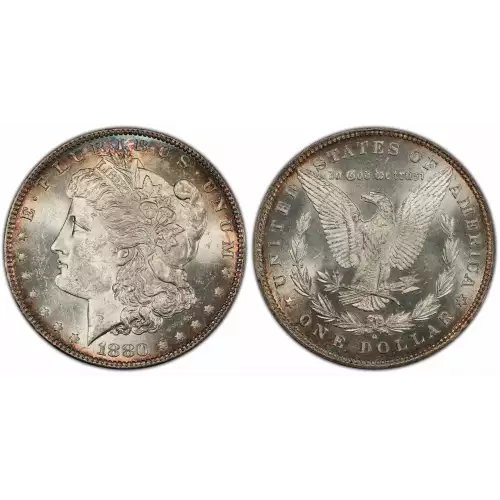 Morgan Silver Dollar