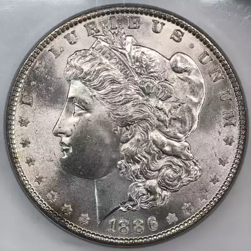 Morgan Silver Dollar (2)