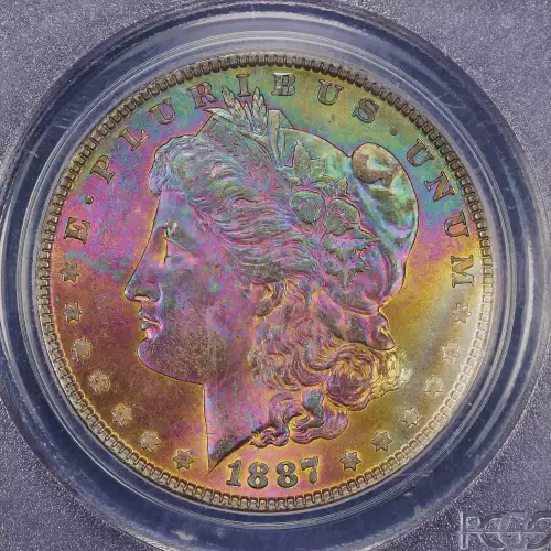 Morgan Silver Dollar