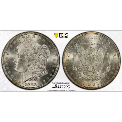 Morgan Silver Dollar