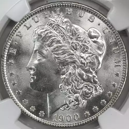 Morgan Silver Dollar (2)