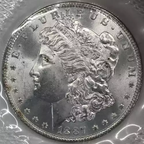 Morgan Silver Dollar (2)