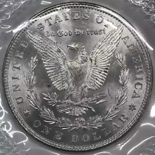 Morgan Silver Dollar (4)