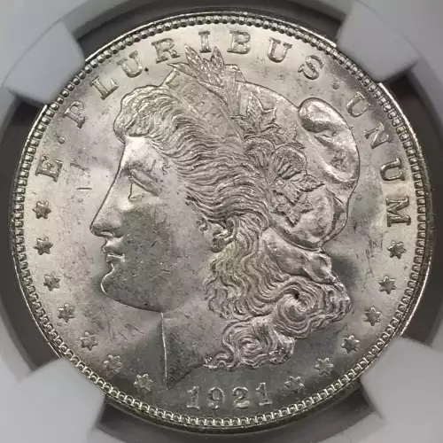 Morgan Silver Dollar