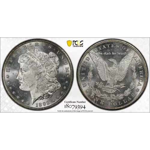 Morgan Silver Dollar