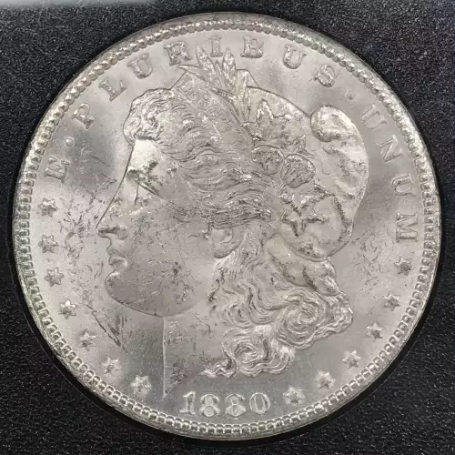 Morgan Silver Dollar (5)