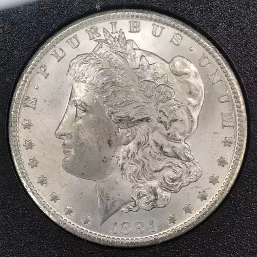 Morgan Silver Dollar (5)