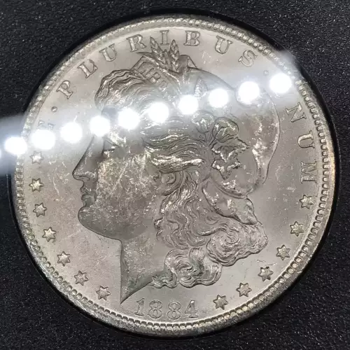 Morgan Silver Dollar (2)