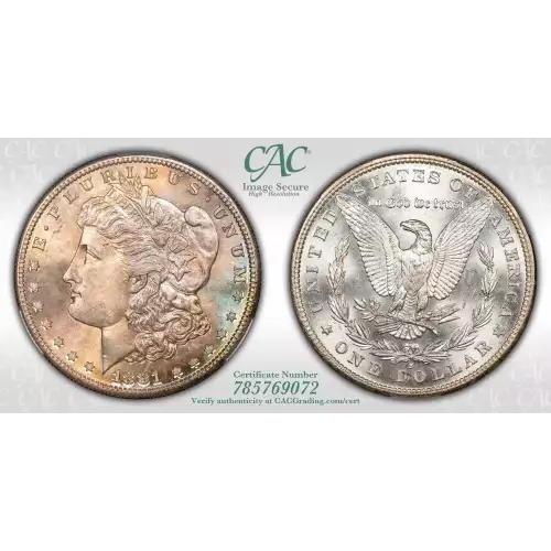 Morgan Silver Dollar