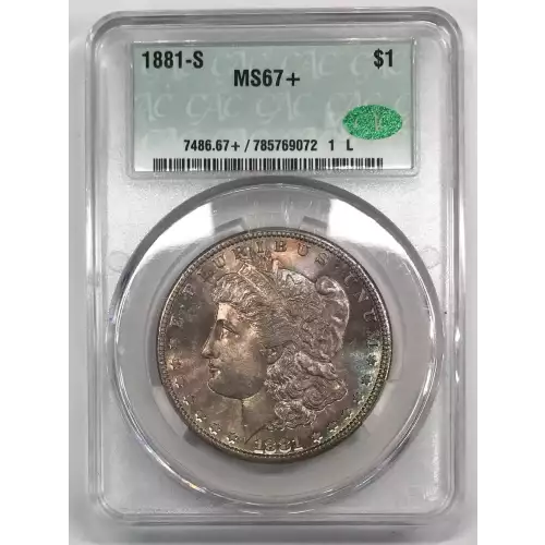 Morgan Silver Dollar (2)