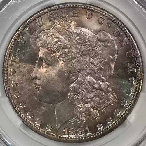 Morgan Silver Dollar (4)