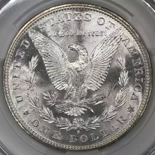 Morgan Silver Dollar (5)