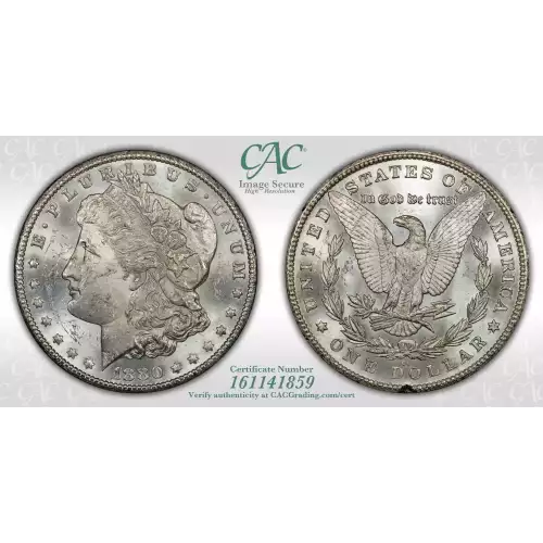 Morgan Silver Dollar (2)