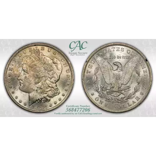 Morgan Silver Dollar