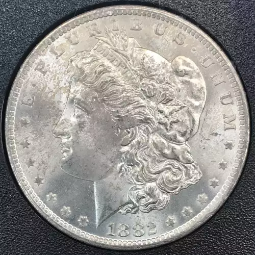 Morgan Silver Dollar (2)