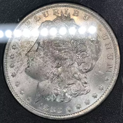 Morgan Silver Dollar (4)