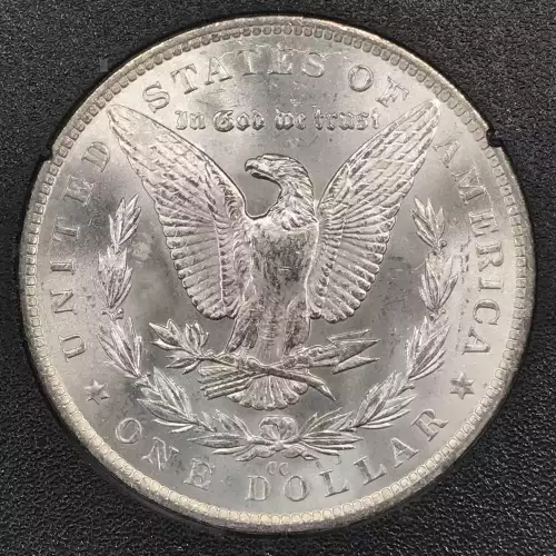 Morgan Silver Dollar (5)