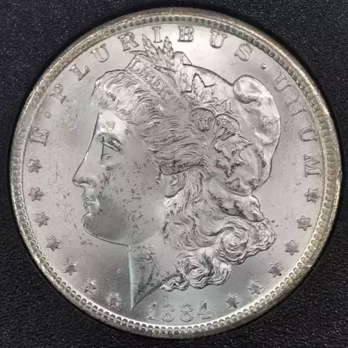 Morgan Silver Dollar (4)