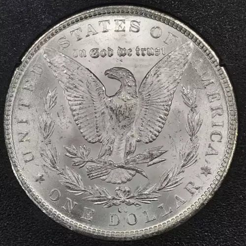 Morgan Silver Dollar (5)