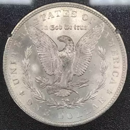 Morgan Silver Dollar (5)