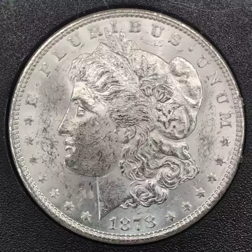 Morgan Silver Dollar (2)