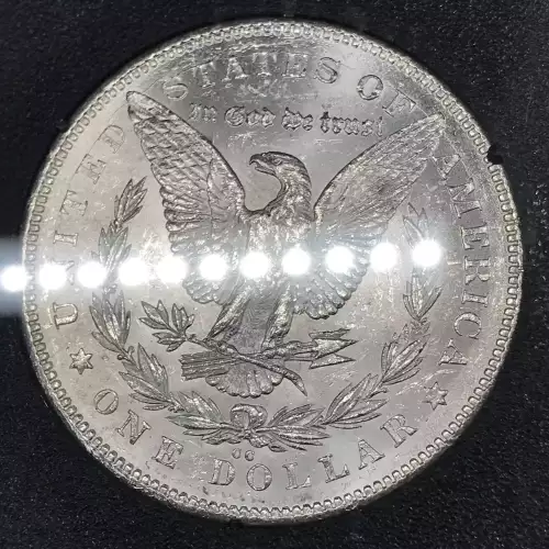 Morgan Silver Dollar (5)