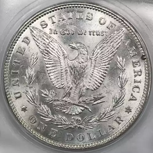 Morgan Silver Dollar (4)