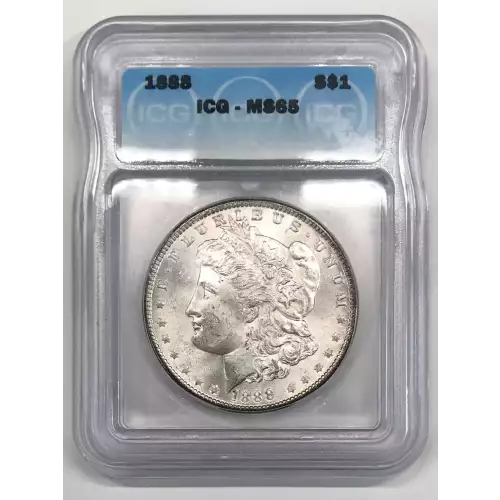 Morgan Silver Dollar (2)