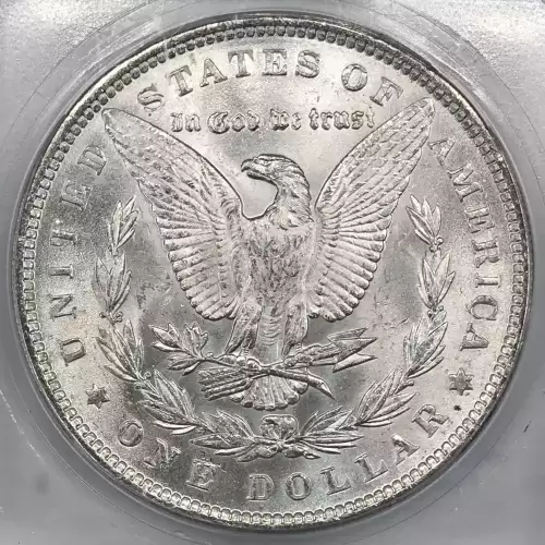 Morgan Silver Dollar (4)