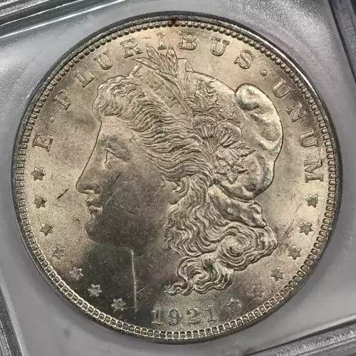 Morgan Silver Dollar (4)